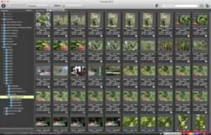 Photo Mechanic 2024 Full Multilenguaje [Mega]