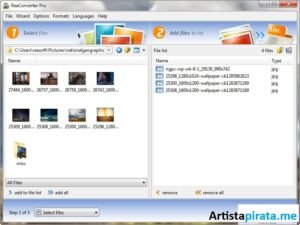 Descargar ReaConverter Pro