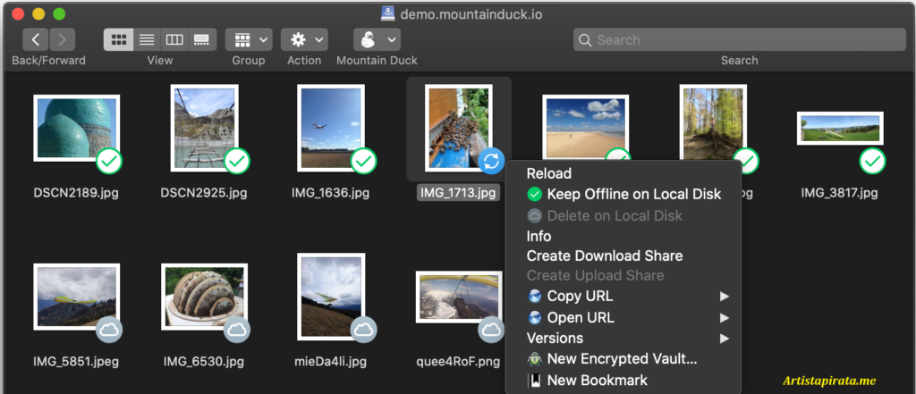Mountain Duck Full Español [Mega]
