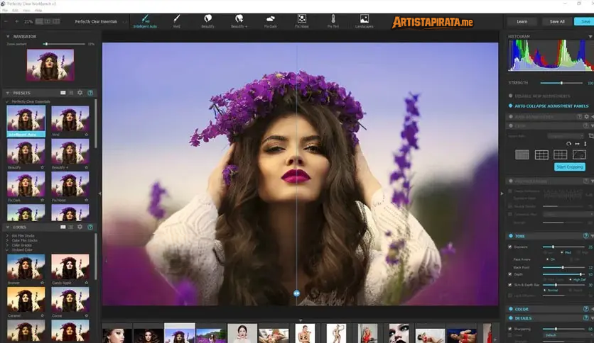 Perfectly Clear WorkBench Full Español [Mega]