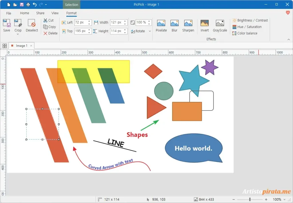 PicPick Pro Full Win Español Maga