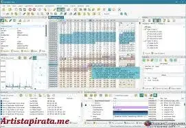 Hex Editor Neo Ultimate Full Windows Español