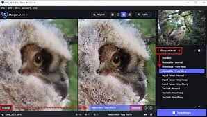Topaz Sharpen AI 4.1.0 Full Activado Español Mega