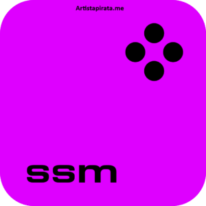 Movavi Slideshow Maker Full Mega + Portable Multilenguaje