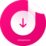 4K Tokkit Pro Full Español Multilenguaje Mega