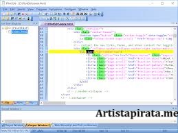 PilotEdit Pro Full Win Español